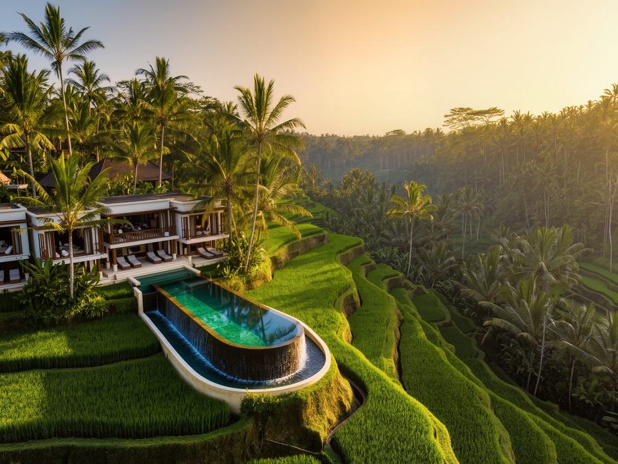 A luxury resort with an infinity pool above tropical rice terraces